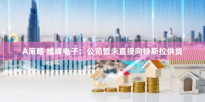 A策略 维峰电子：公司暂未直接向特斯拉供货