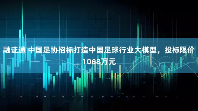 融证通 中国足协招标打造中国足球行业大模型，投标限价1068万元