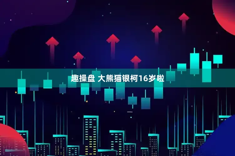 趣操盘 大熊猫银柯16岁啦