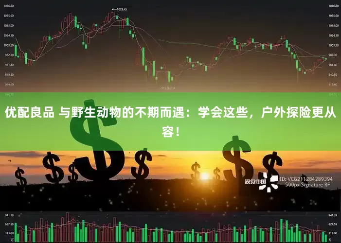 优配良品 与野生动物的不期而遇：学会这些，户外探险更从容！