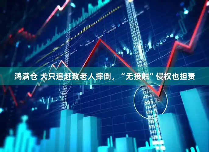 鸿满仓 犬只追赶致老人摔倒，“无接触”侵权也担责