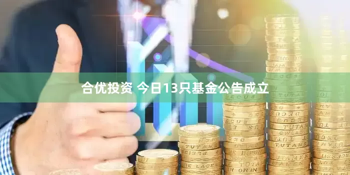 合优投资 今日13只基金公告成立