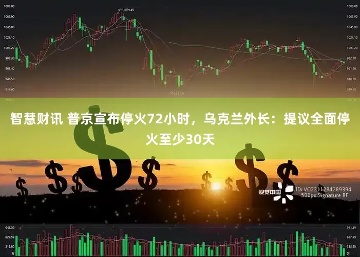 智慧财讯 普京宣布停火72小时，乌克兰外长：提议全面停火至少30天