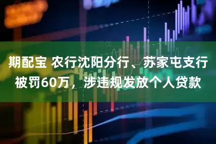 期配宝 农行沈阳分行、苏家屯支行被罚60万，涉违规发放个人贷款